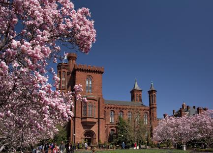 Smithsonian Castle and Blossoms