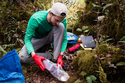 Man in a backwards cap, pants, and long sleeve shirt crouches down in forest with clear container and red latex gloves.