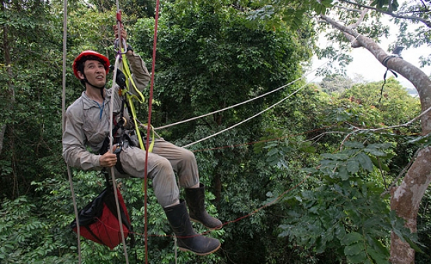 man using ropes to navigate tree canopy